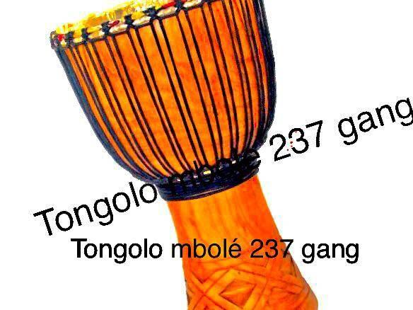 TONGOLO GANG