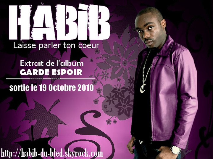 https://kamerlyrics.net/media/6367/laisse-parler-ton-coeur-habib-du-bled.jpg