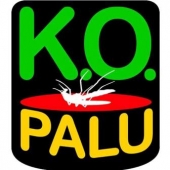 https://kamerlyrics.net/media/6660/tous-unis-contre-le-paludisme-ko-palu.jpg