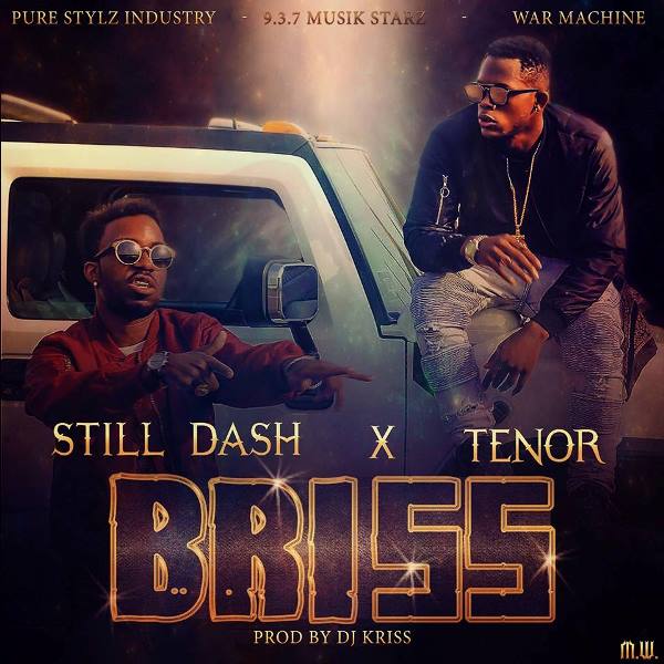 https://kamerlyrics.net/media/7703/briss-still-dash.jpg