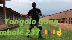 https://kamerlyrics.net/media/9171/danse-seulement-tongolo-gang.jpg