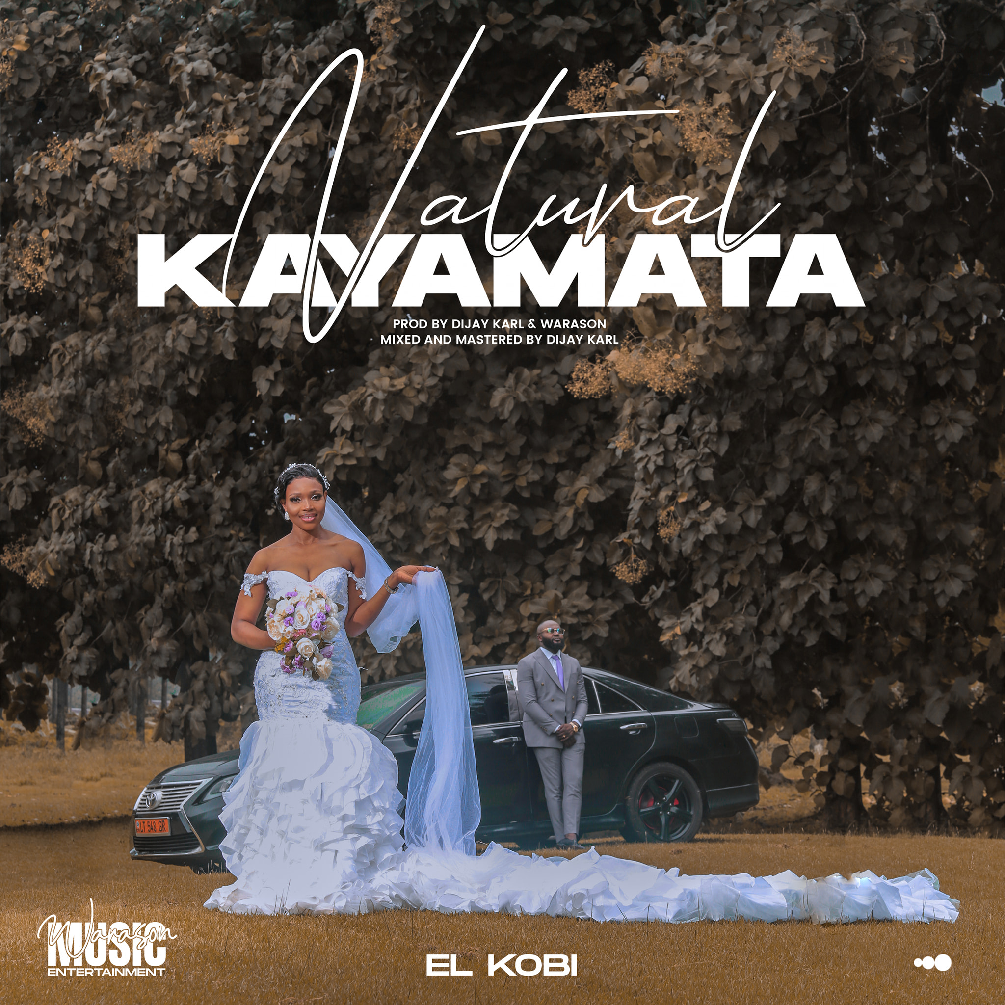 https://kamerlyrics.net/media/9508/natural-kayamata-el-kobi.jpg